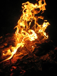 fire-1568645